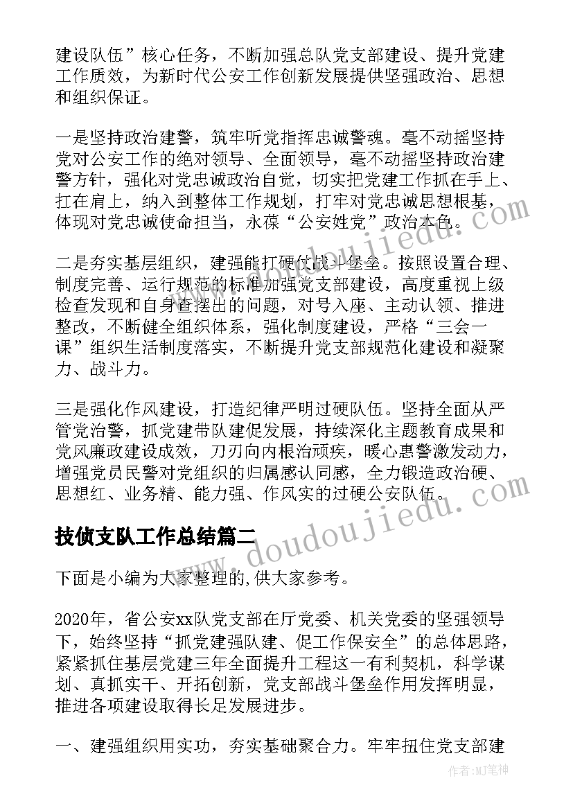 2023年技侦支队工作总结(实用5篇)