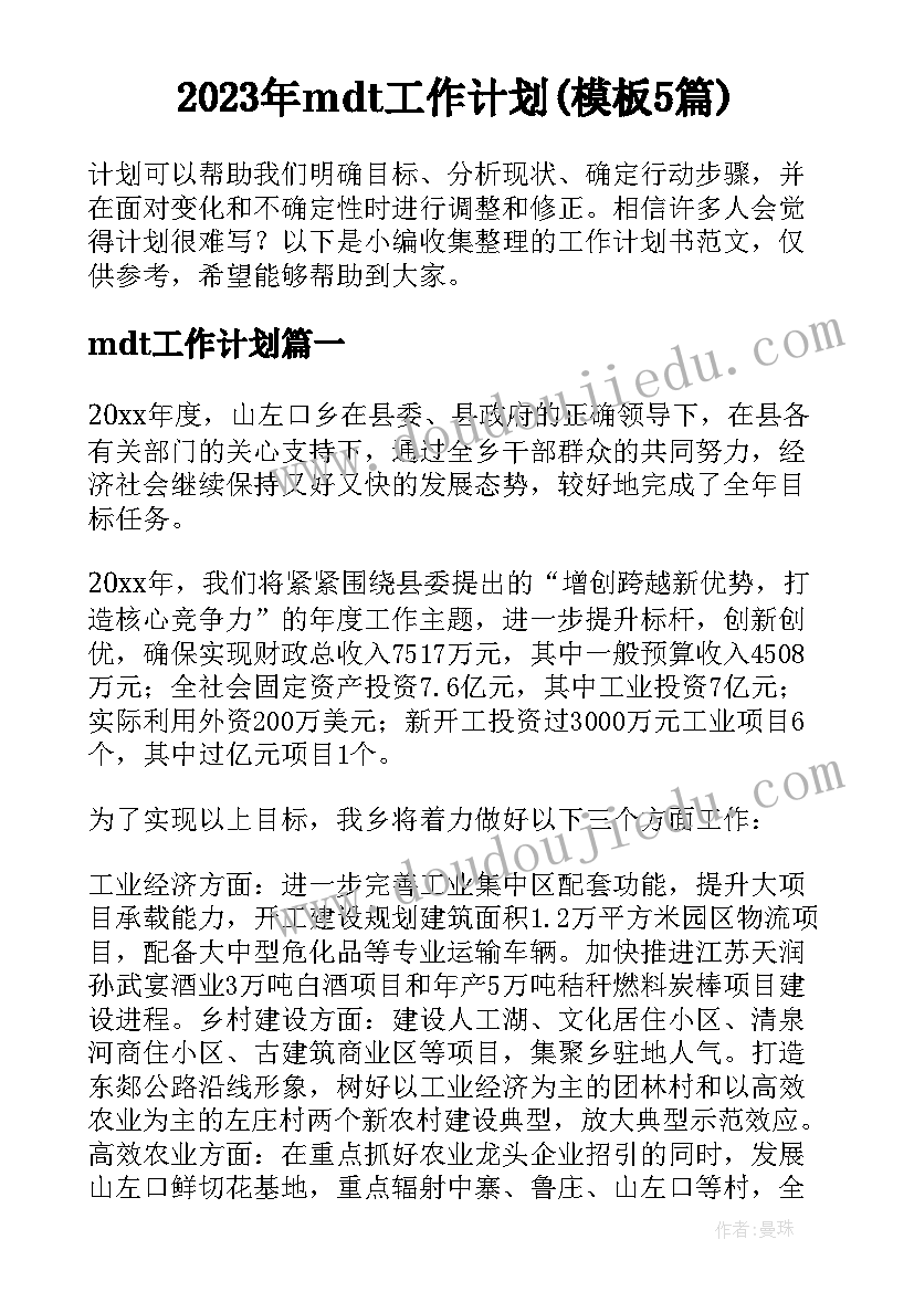 2023年mdt工作计划(模板5篇)