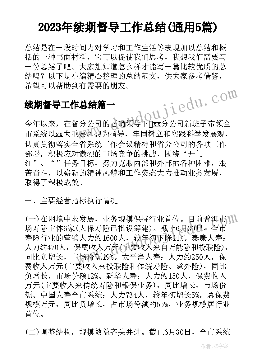 2023年续期督导工作总结(通用5篇)