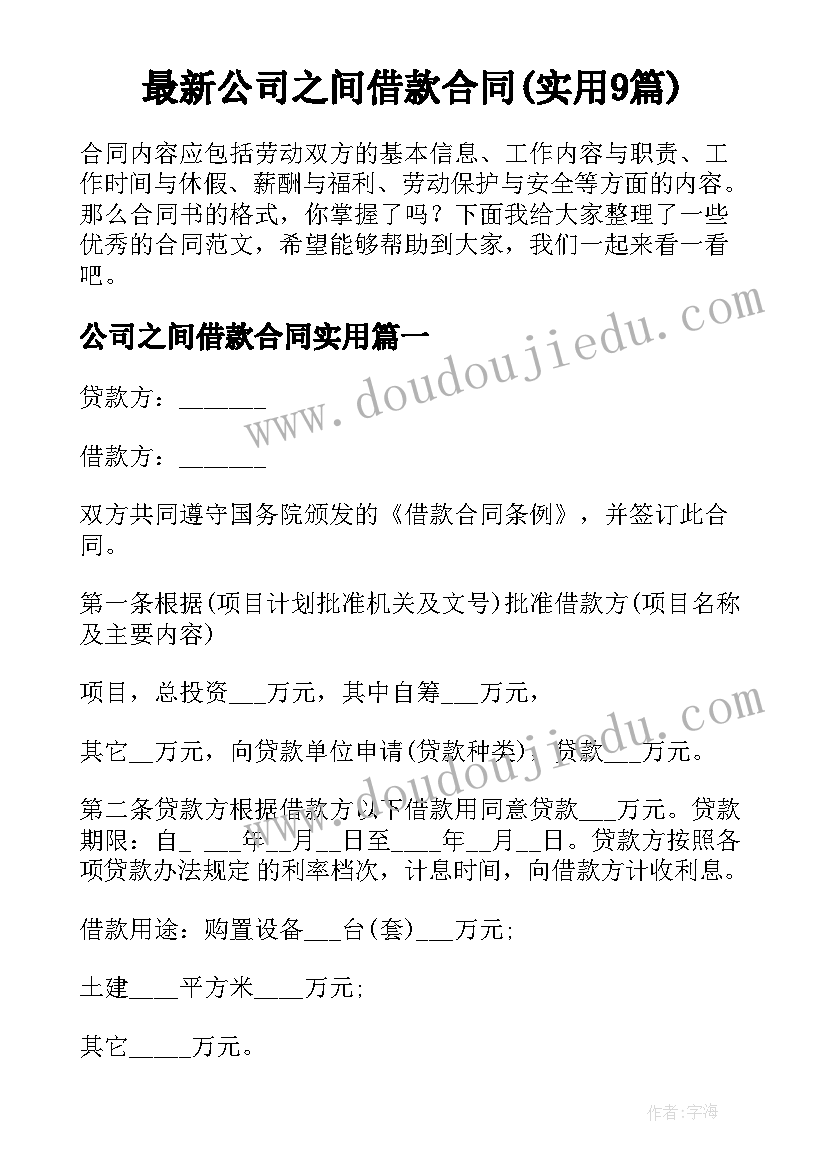 最新公司之间借款合同(实用9篇)