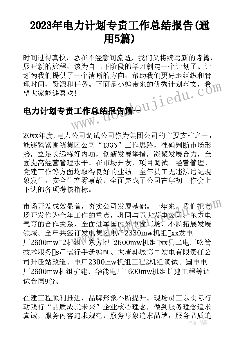 2023年电力计划专责工作总结报告(通用5篇)