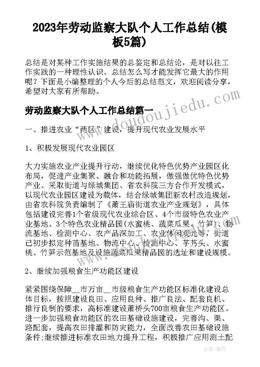 2023年劳动监察大队个人工作总结(模板5篇)