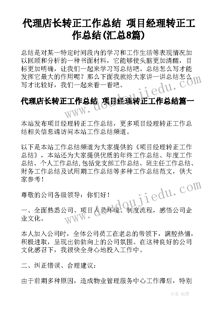 代理店长转正工作总结 项目经理转正工作总结(汇总8篇)