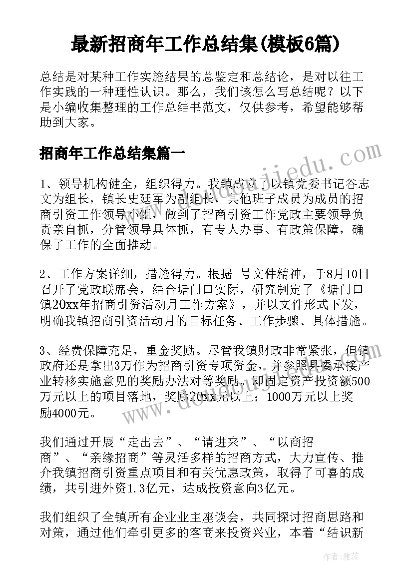 最新招商年工作总结集(模板6篇)