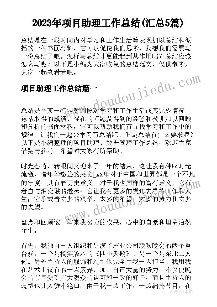 2023年项目助理工作总结(汇总5篇)