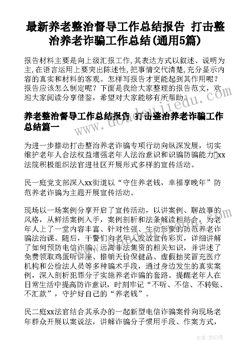 最新养老整治督导工作总结报告 打击整治养老诈骗工作总结(通用5篇)