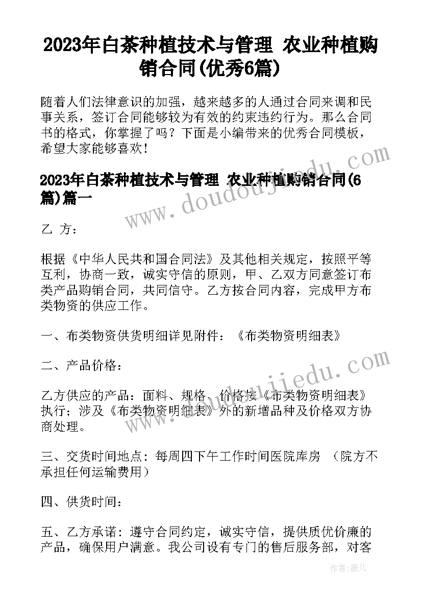 2023年白茶种植技术与管理 农业种植购销合同(优秀6篇)