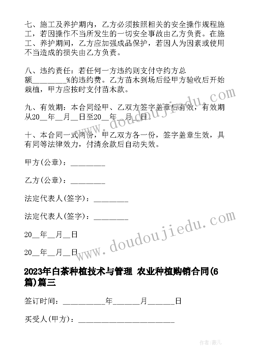 2023年白茶种植技术与管理 农业种植购销合同(优秀6篇)