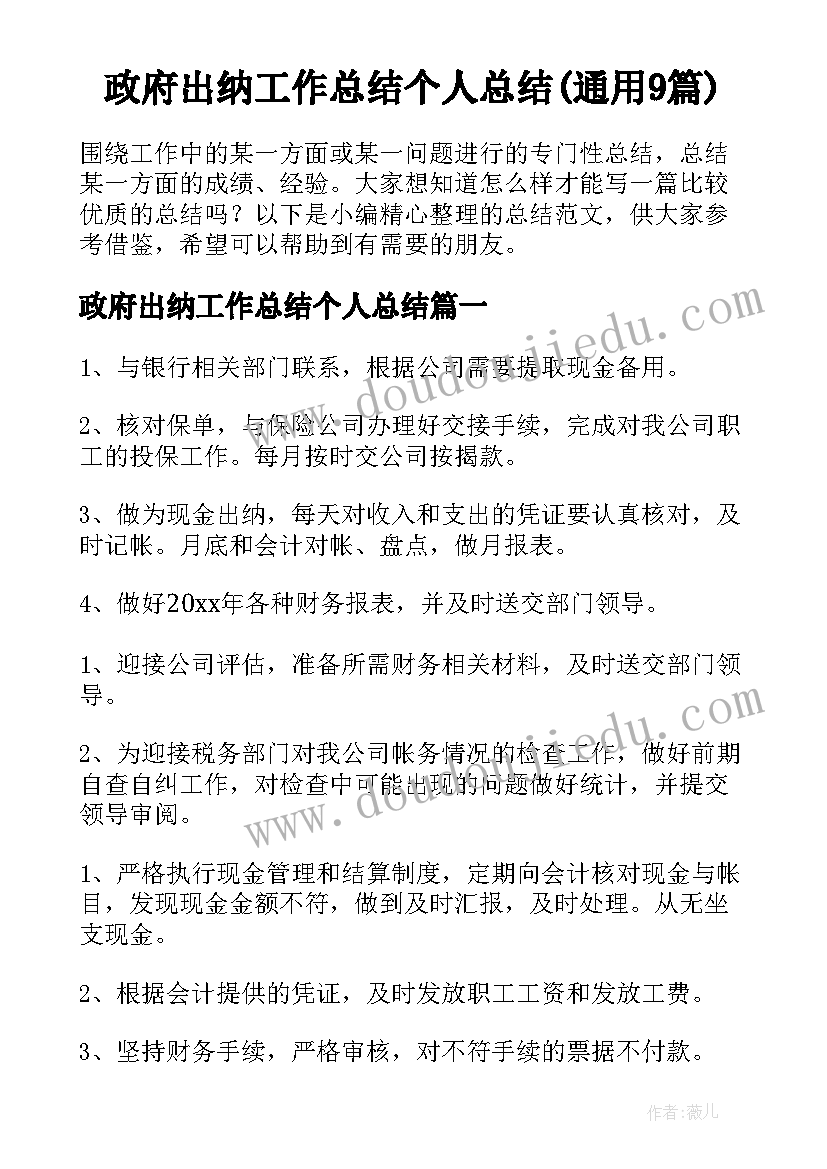 政府出纳工作总结个人总结(通用9篇)