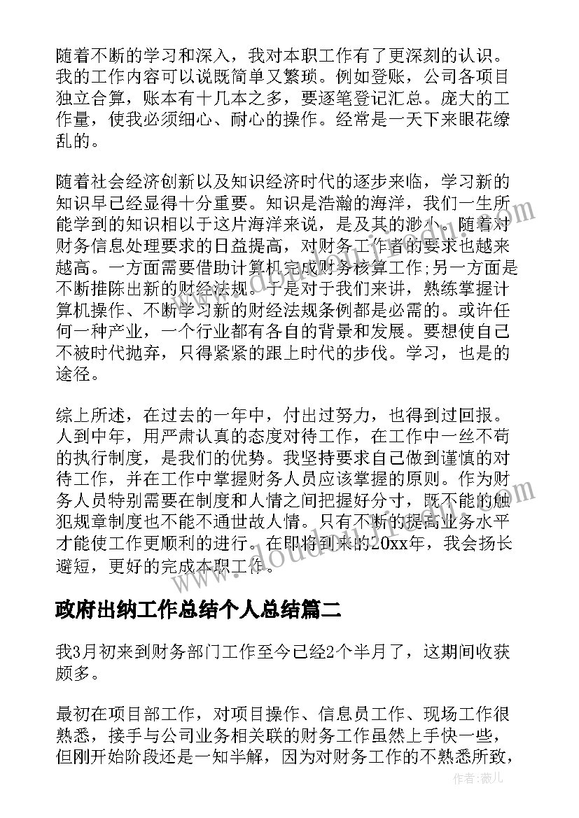 政府出纳工作总结个人总结(通用9篇)