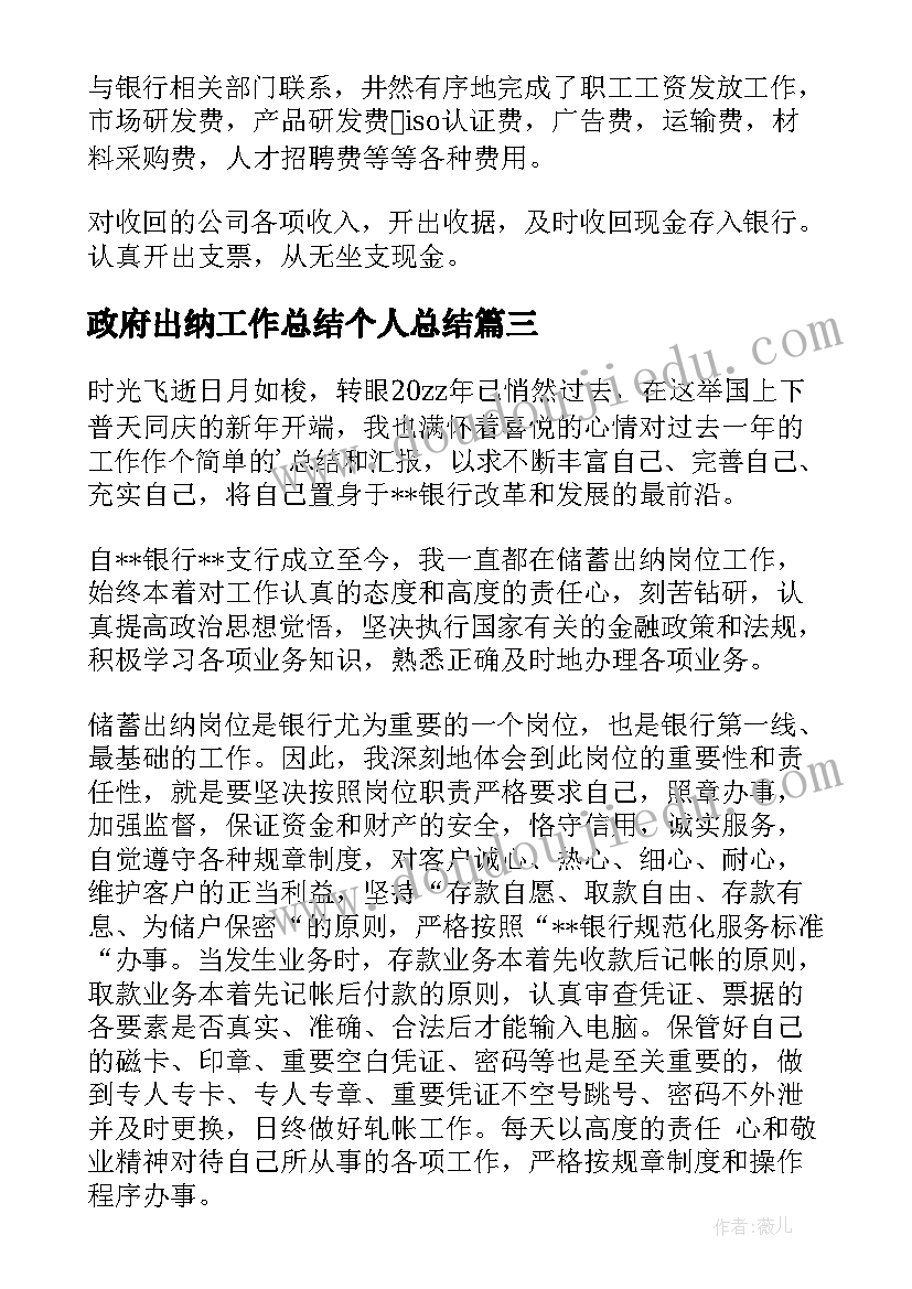 政府出纳工作总结个人总结(通用9篇)