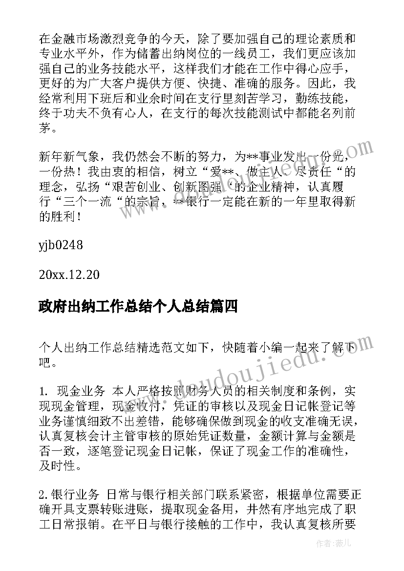 政府出纳工作总结个人总结(通用9篇)