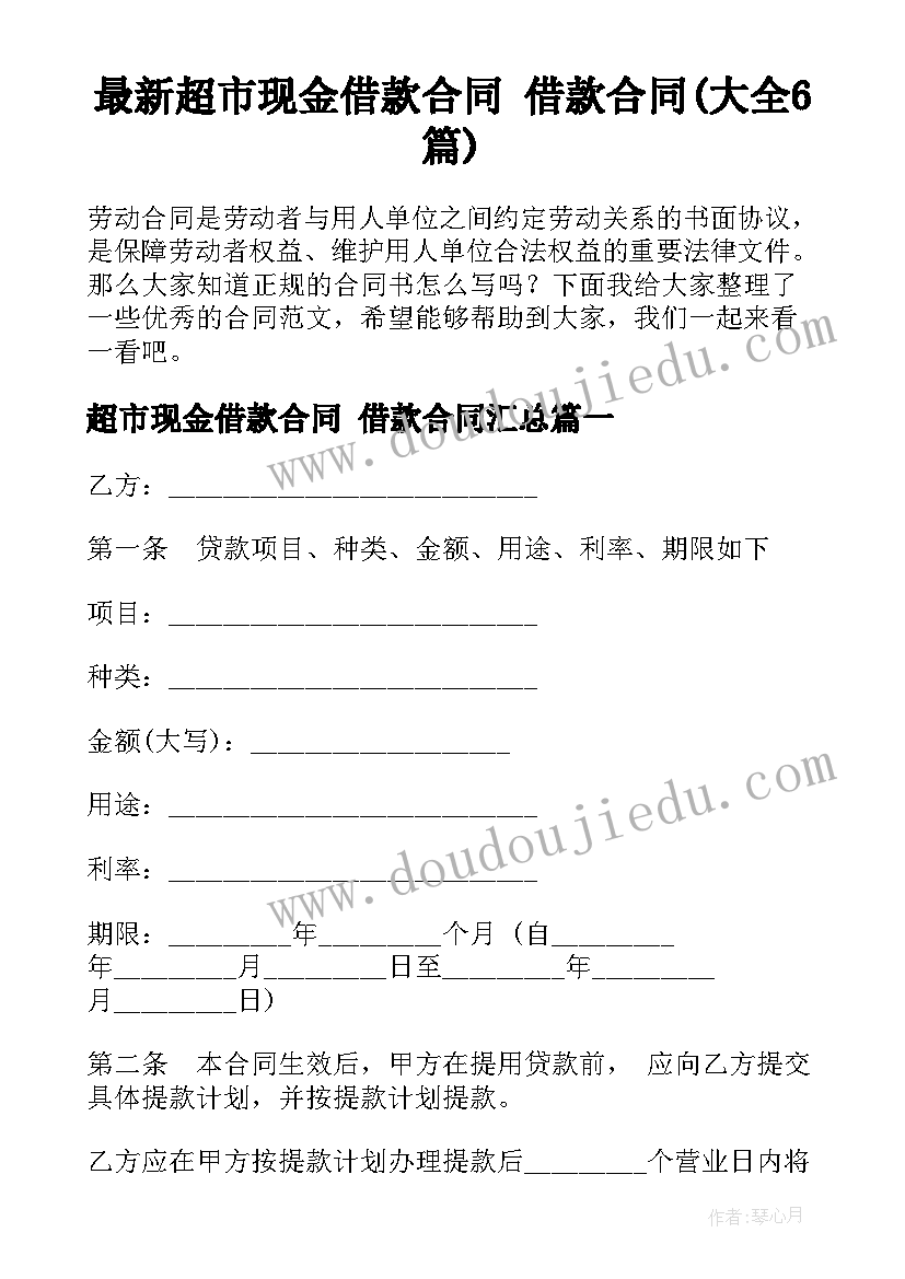 最新超市现金借款合同 借款合同(大全6篇)