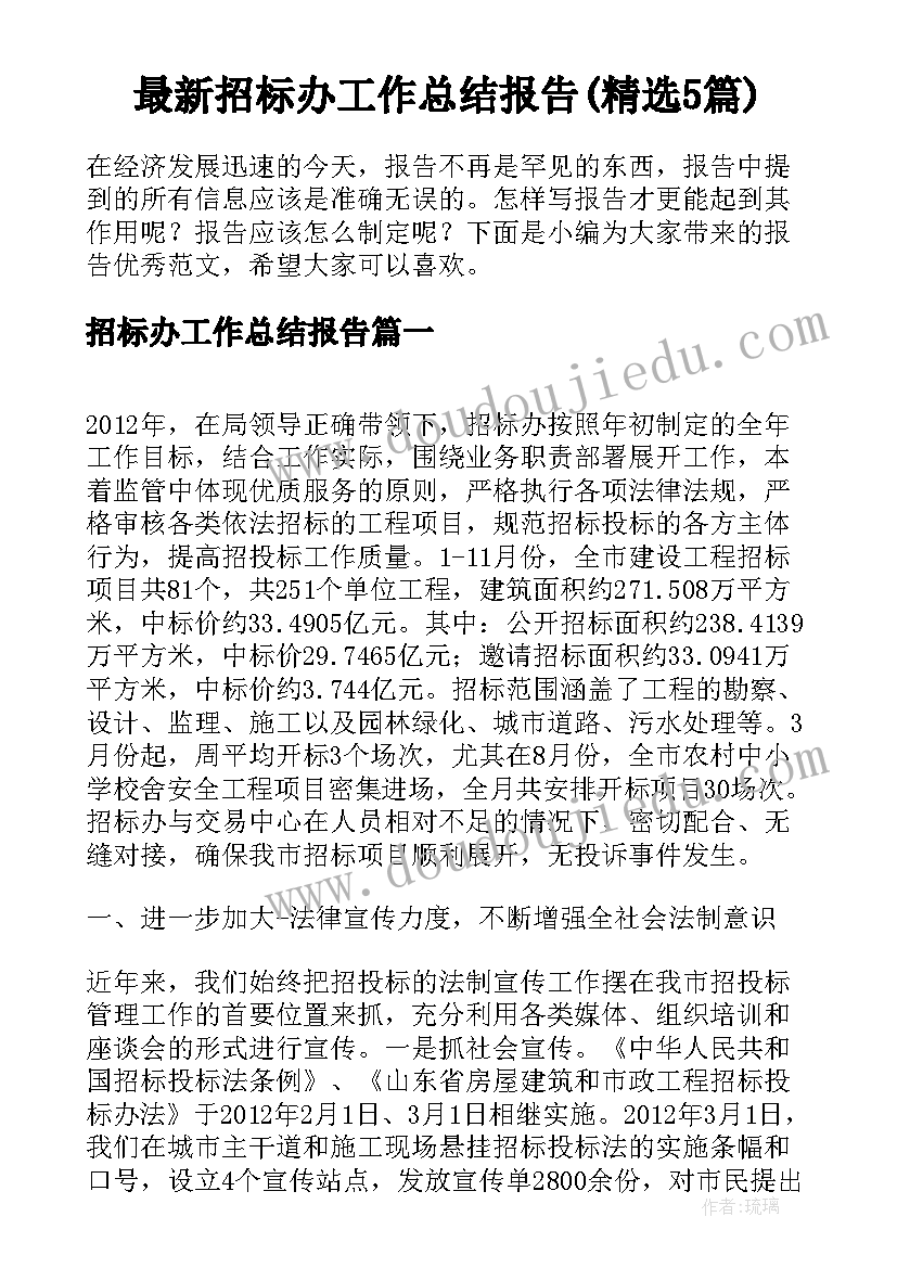 最新招标办工作总结报告(精选5篇)