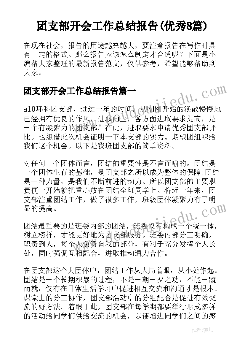 团支部开会工作总结报告(优秀8篇)