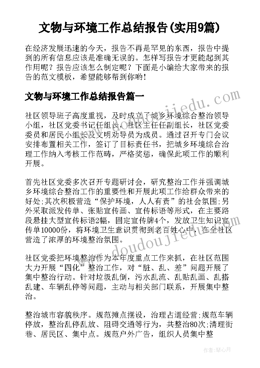 文物与环境工作总结报告(实用9篇)