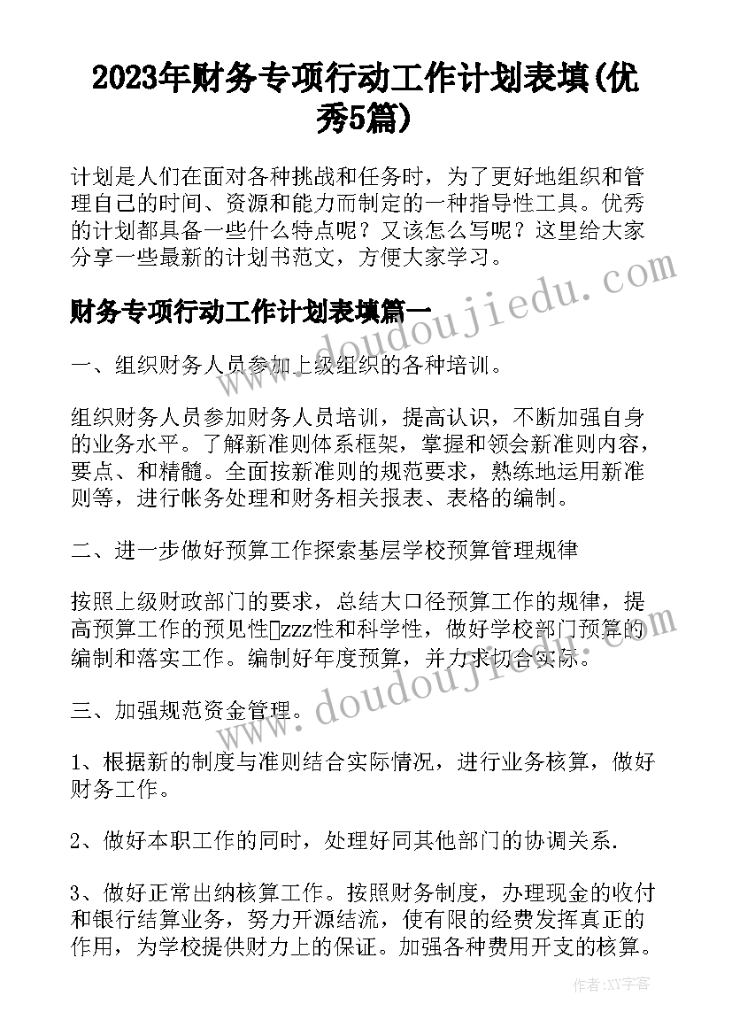 2023年财务专项行动工作计划表填(优秀5篇)