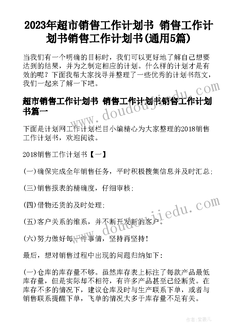 2023年超市销售工作计划书 销售工作计划书销售工作计划书(通用5篇)