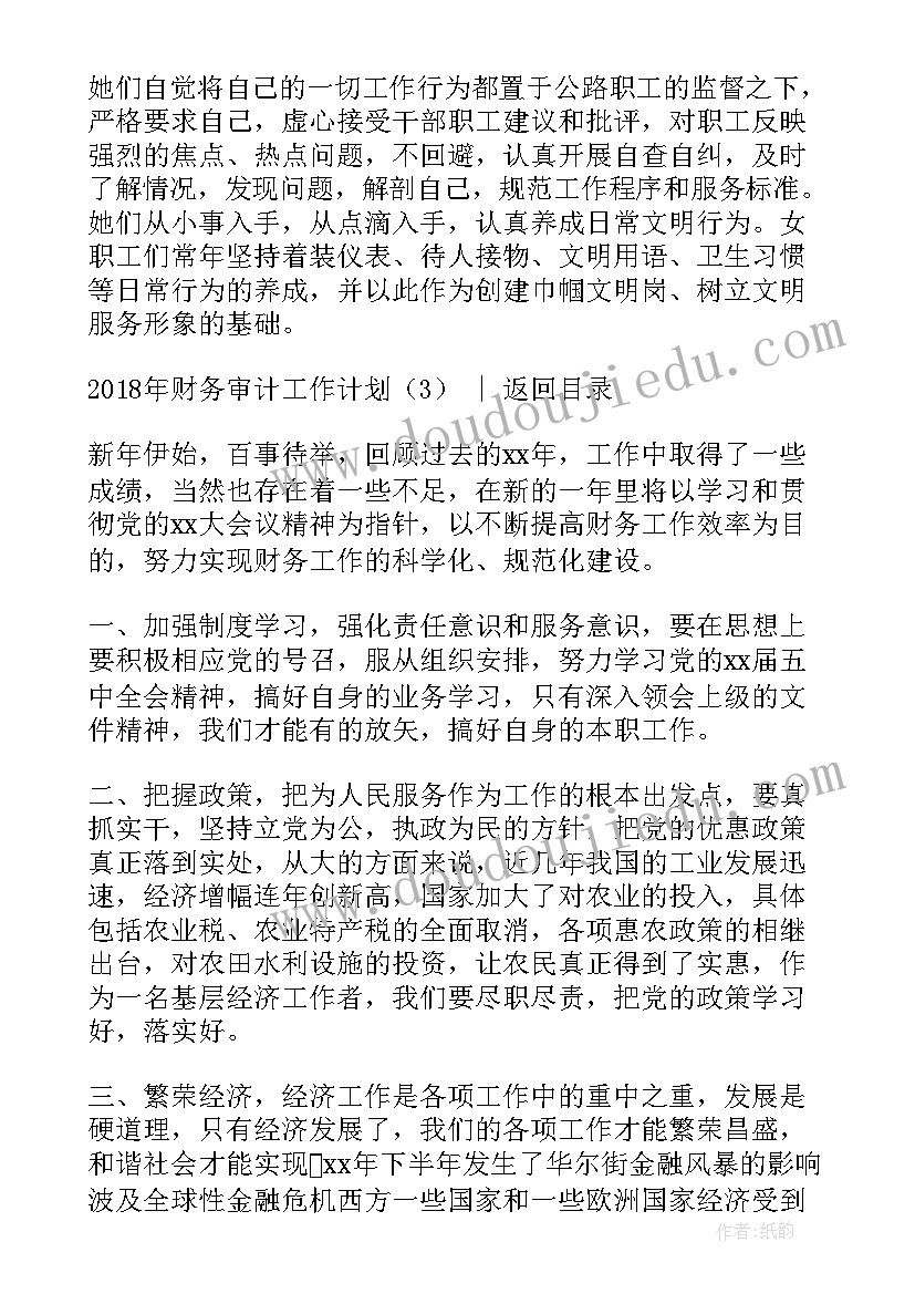 2023年审计工作组织安排 财务审计工作计划(实用5篇)