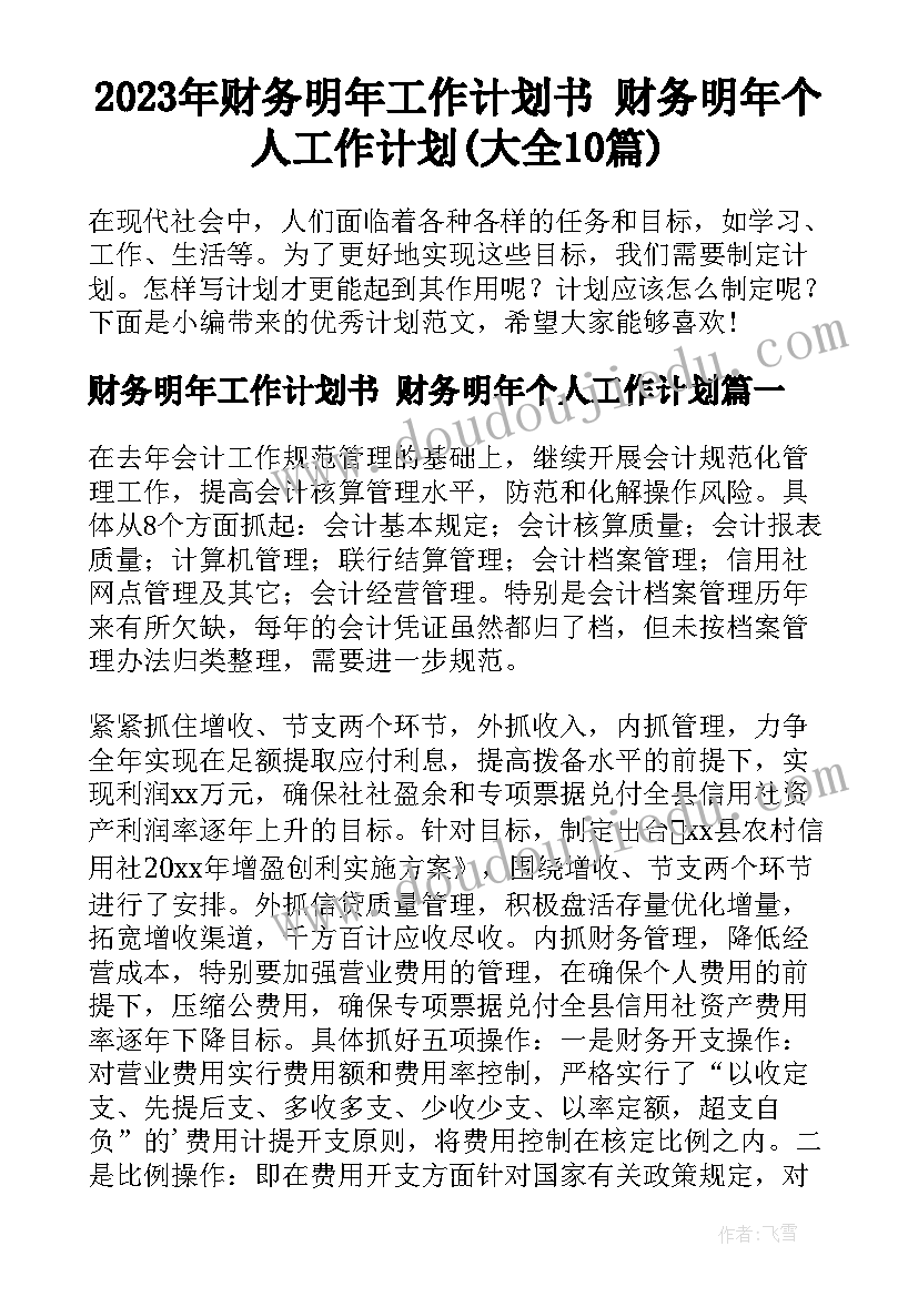 2023年财务明年工作计划书 财务明年个人工作计划(大全10篇)