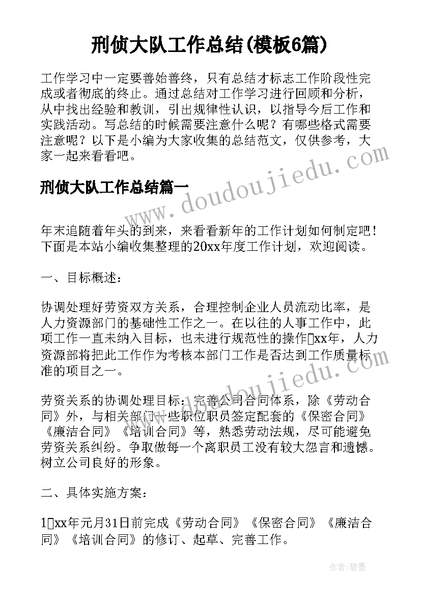 刑侦大队工作总结(模板6篇)