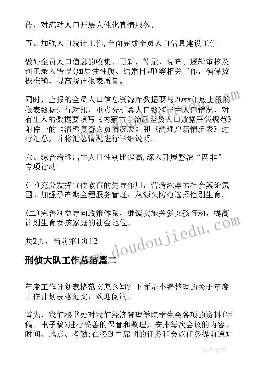 刑侦大队工作总结(模板6篇)