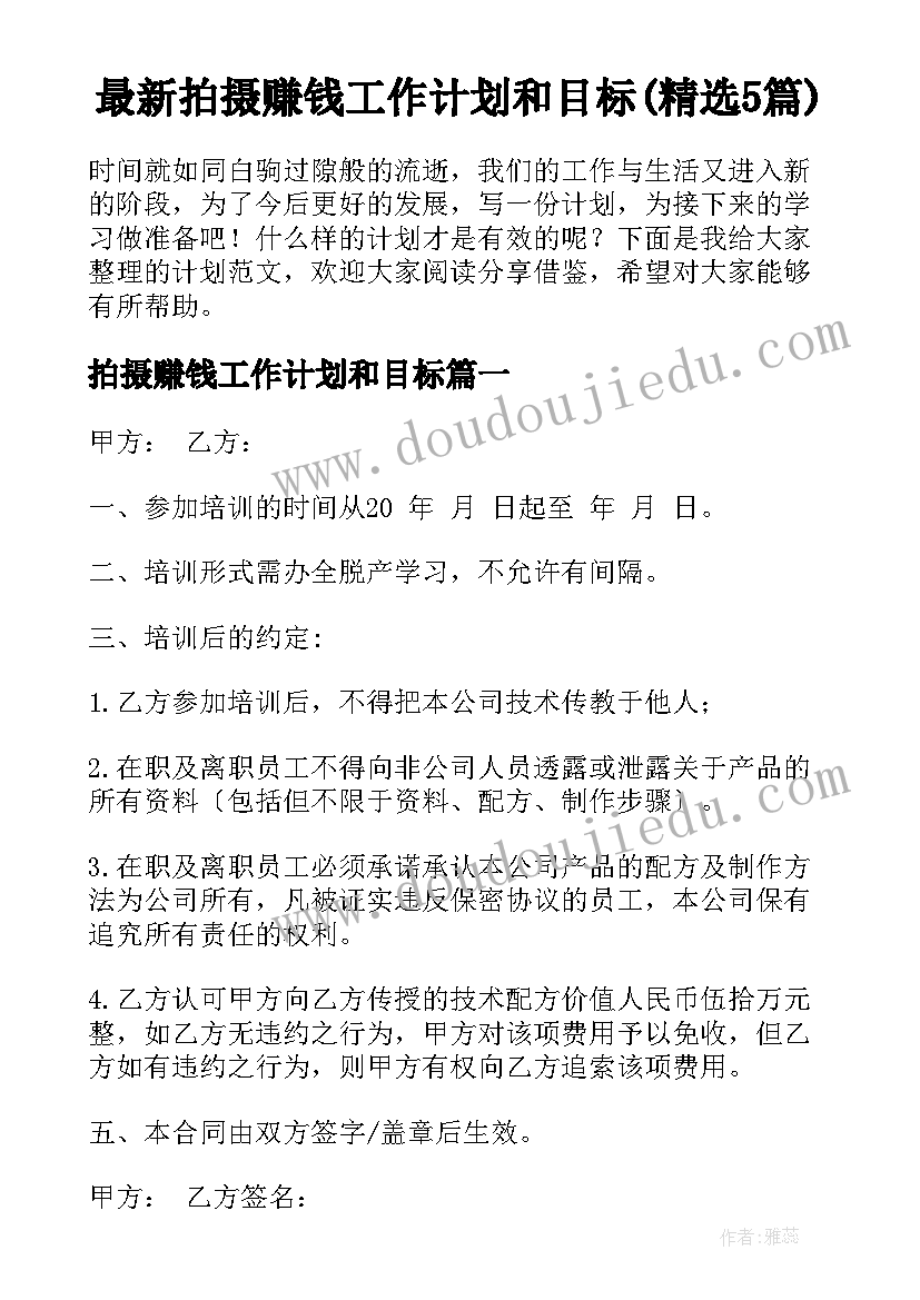 最新拍摄赚钱工作计划和目标(精选5篇)