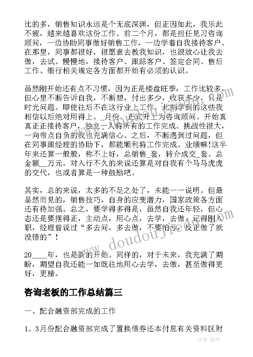 2023年咨询老板的工作总结(模板5篇)