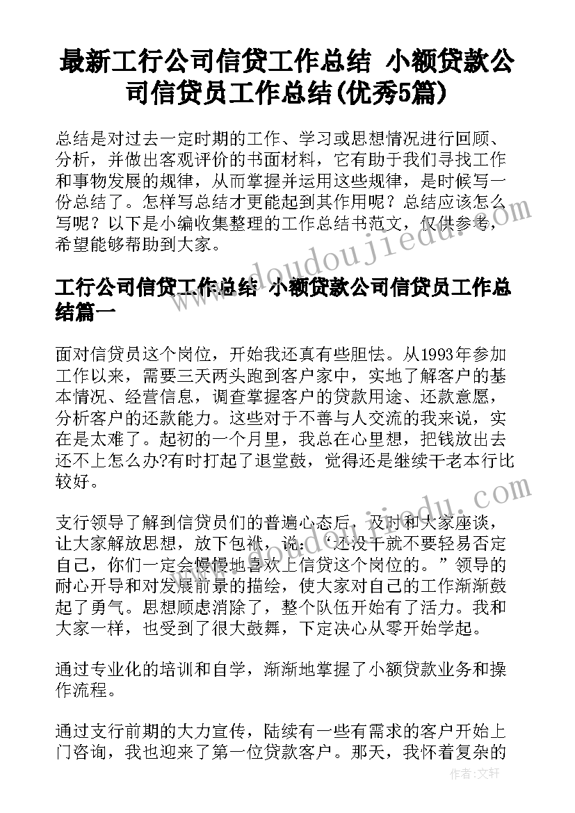 最新工行公司信贷工作总结 小额贷款公司信贷员工作总结(优秀5篇)