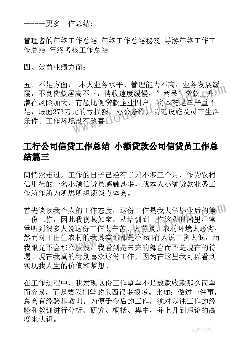 最新工行公司信贷工作总结 小额贷款公司信贷员工作总结(优秀5篇)