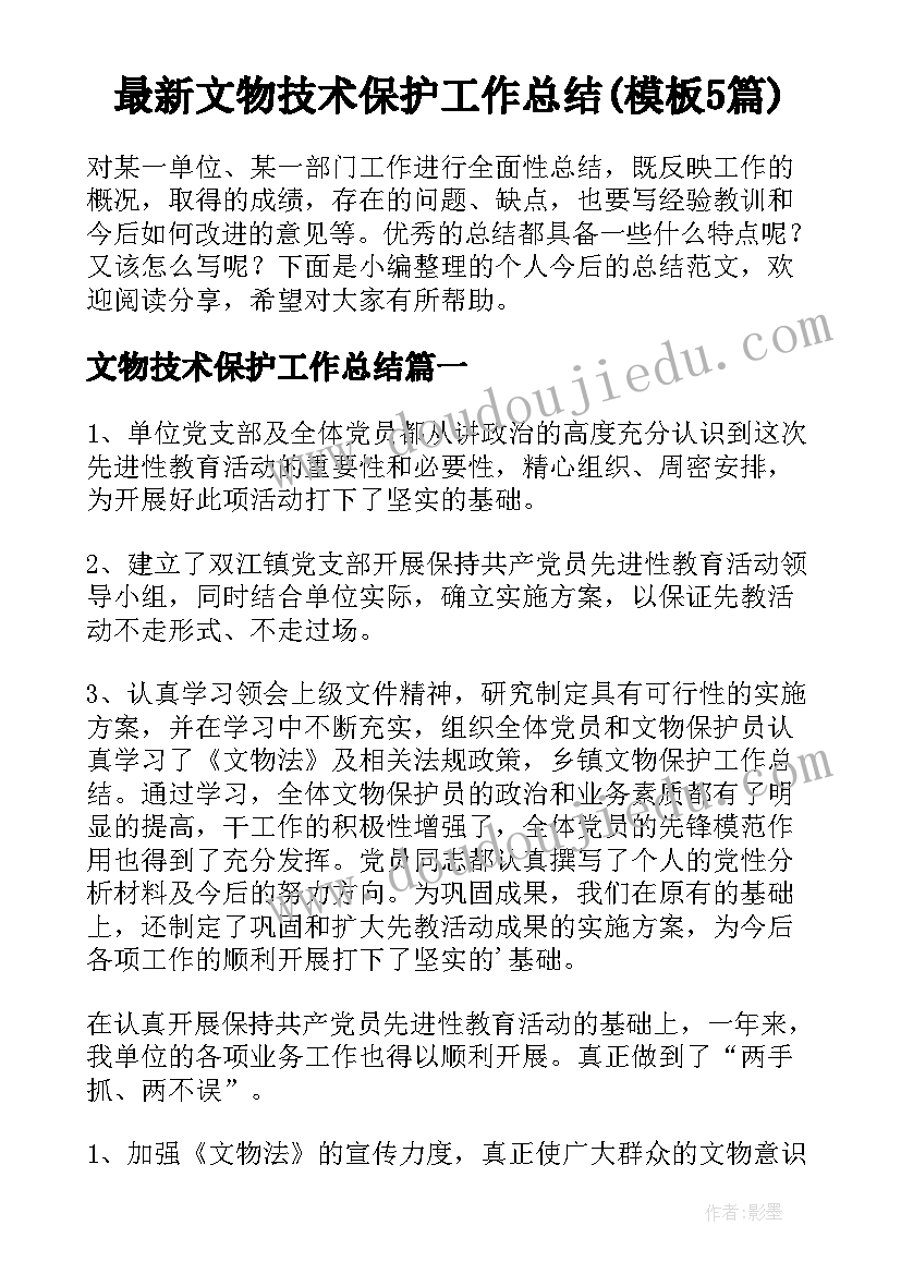 最新文物技术保护工作总结(模板5篇)