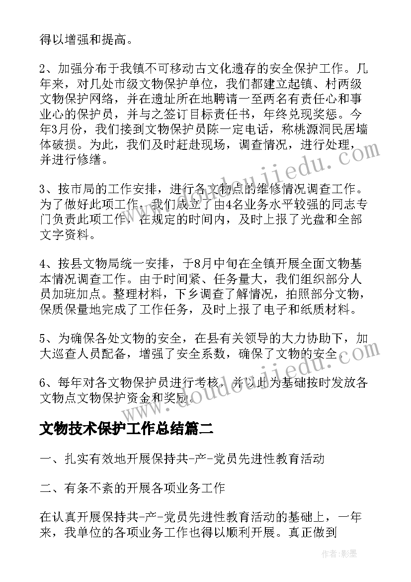 最新文物技术保护工作总结(模板5篇)