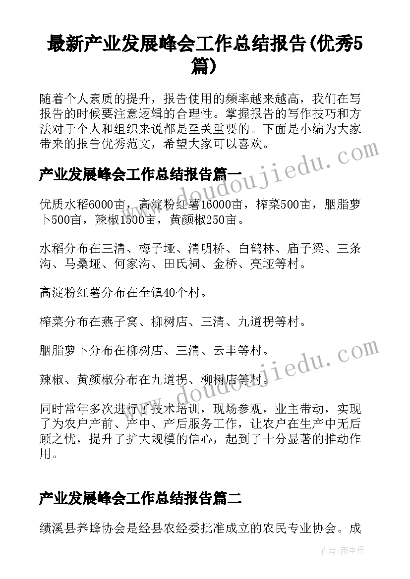 最新产业发展峰会工作总结报告(优秀5篇)