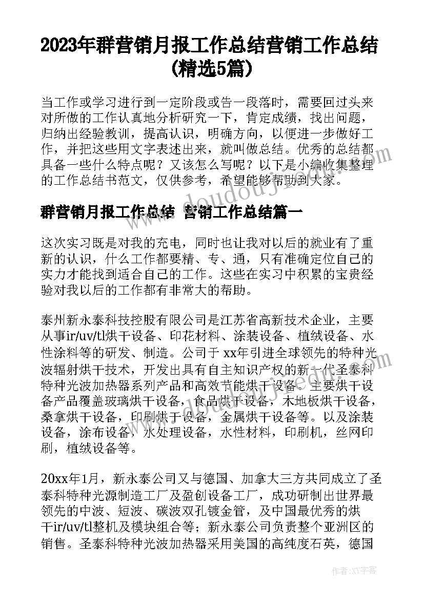 2023年群营销月报工作总结 营销工作总结(精选5篇)