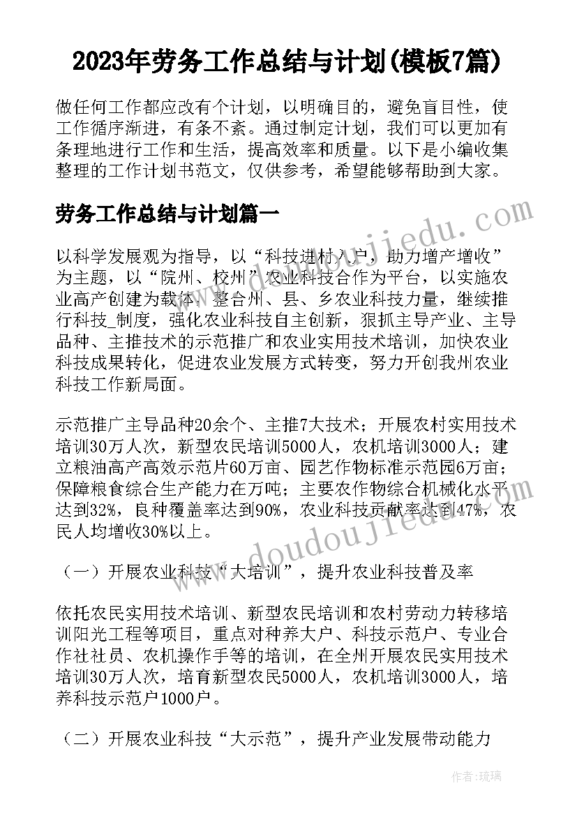 2023年劳务工作总结与计划(模板7篇)