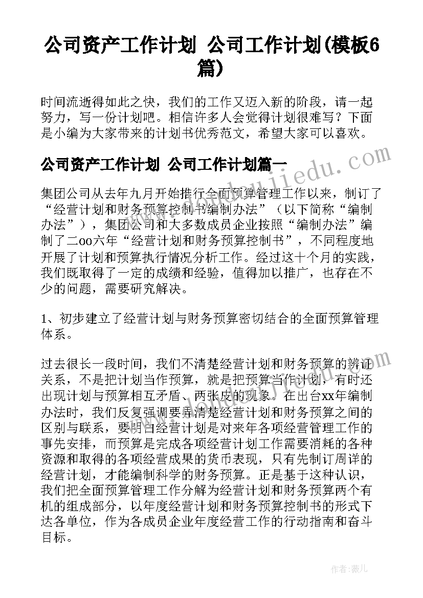 公司资产工作计划 公司工作计划(模板6篇)