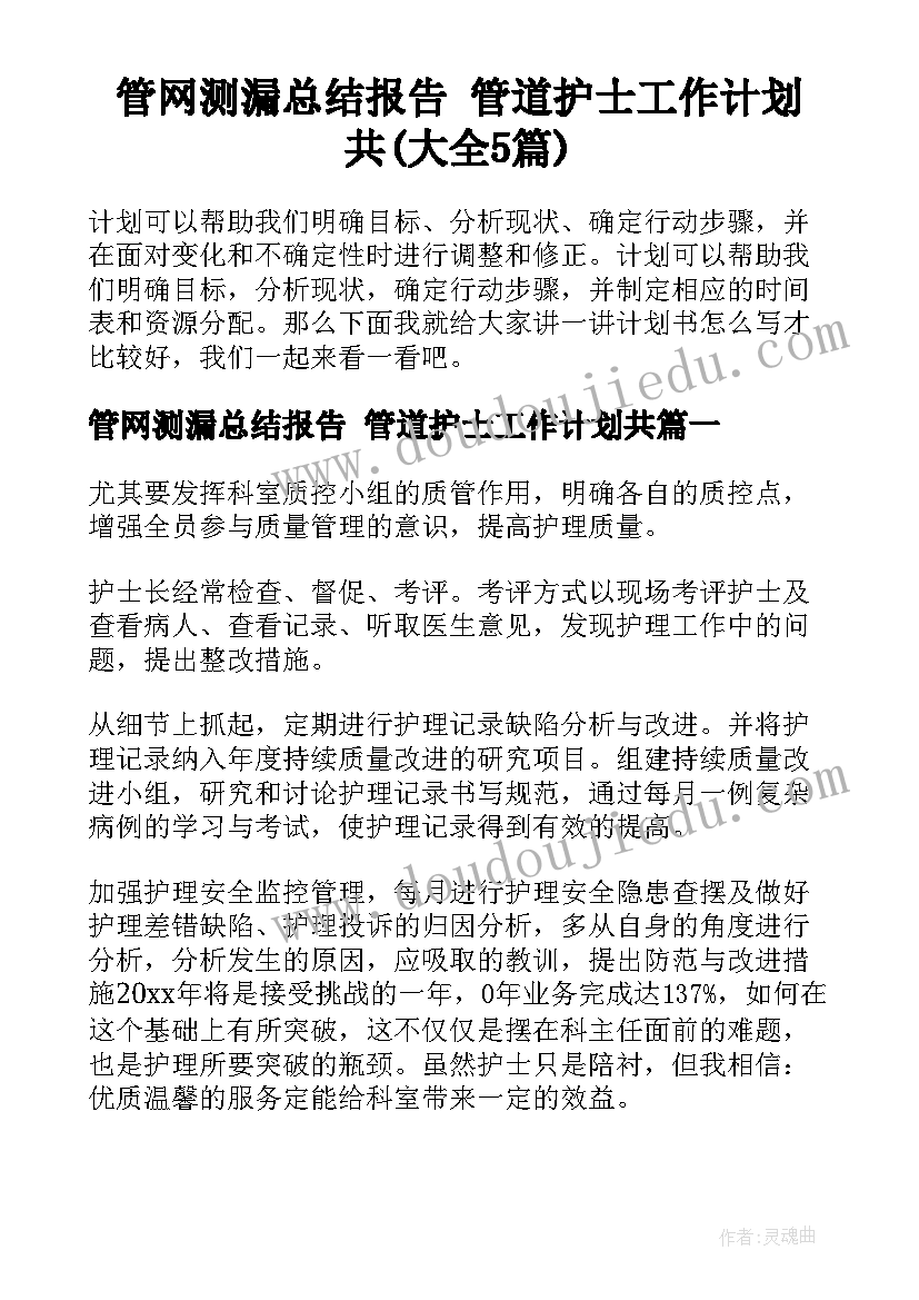 管网测漏总结报告 管道护士工作计划共(大全5篇)