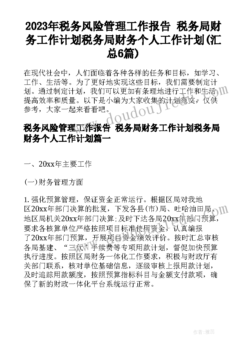 2023年税务风险管理工作报告 税务局财务工作计划税务局财务个人工作计划(汇总6篇)