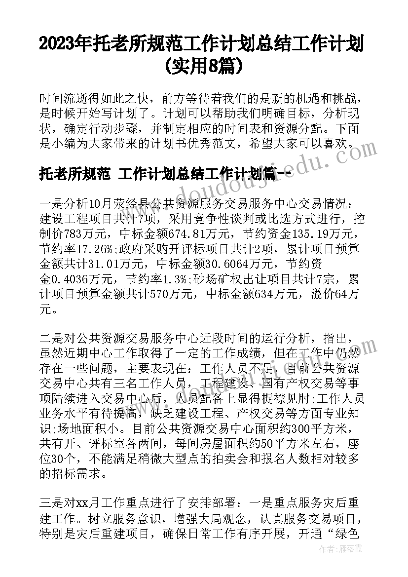 2023年托老所规范 工作计划总结工作计划(实用8篇)