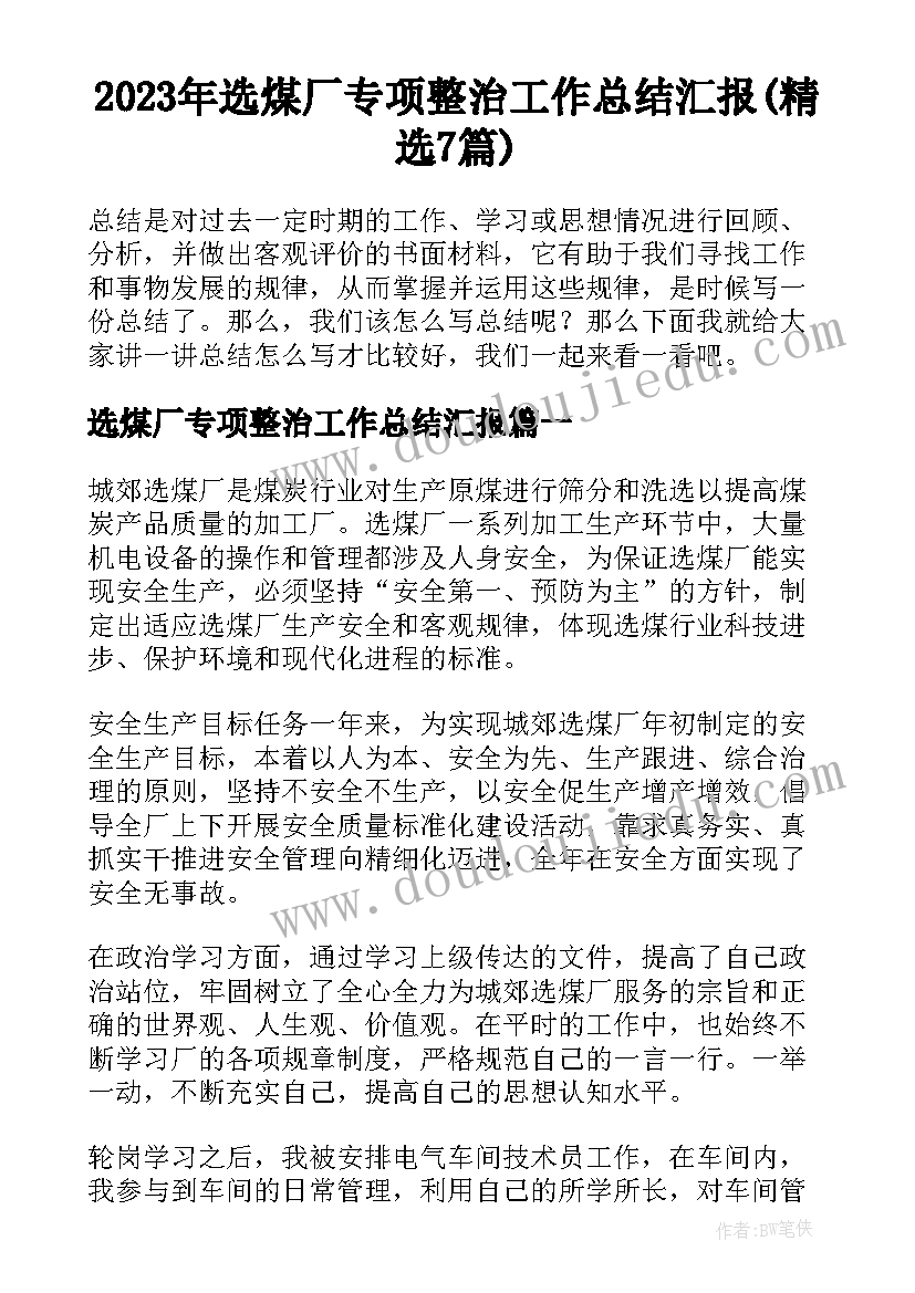 2023年选煤厂专项整治工作总结汇报(精选7篇)