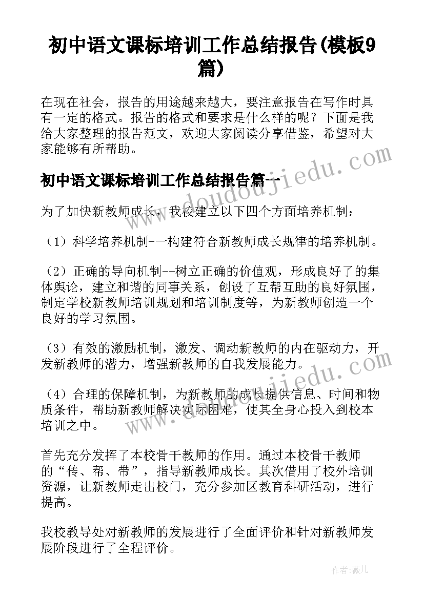 初中语文课标培训工作总结报告(模板9篇)