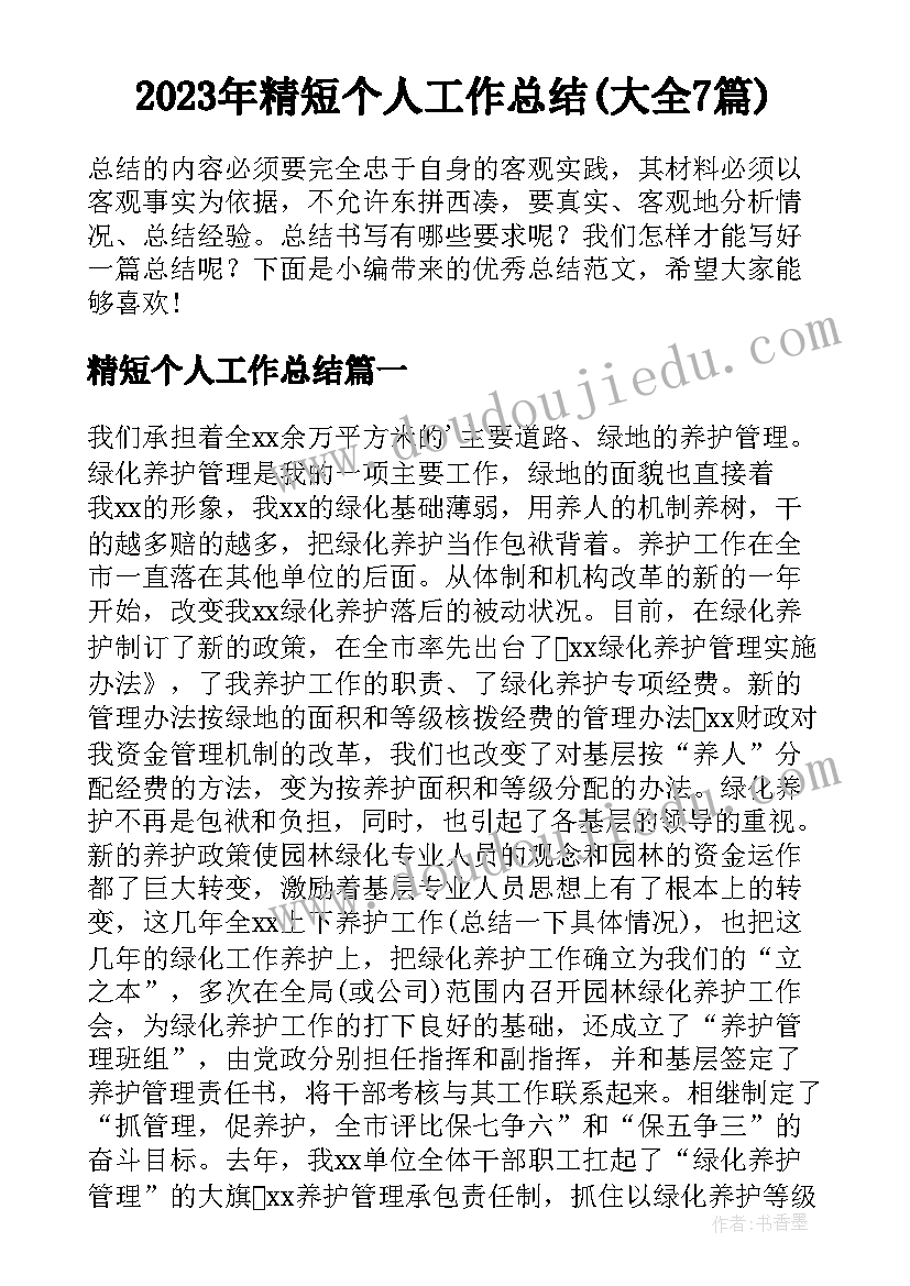 2023年精短个人工作总结(大全7篇)