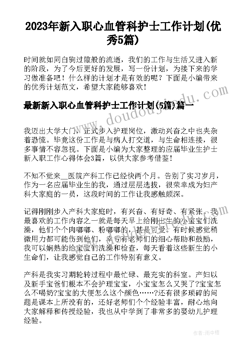 2023年新入职心血管科护士工作计划(优秀5篇)