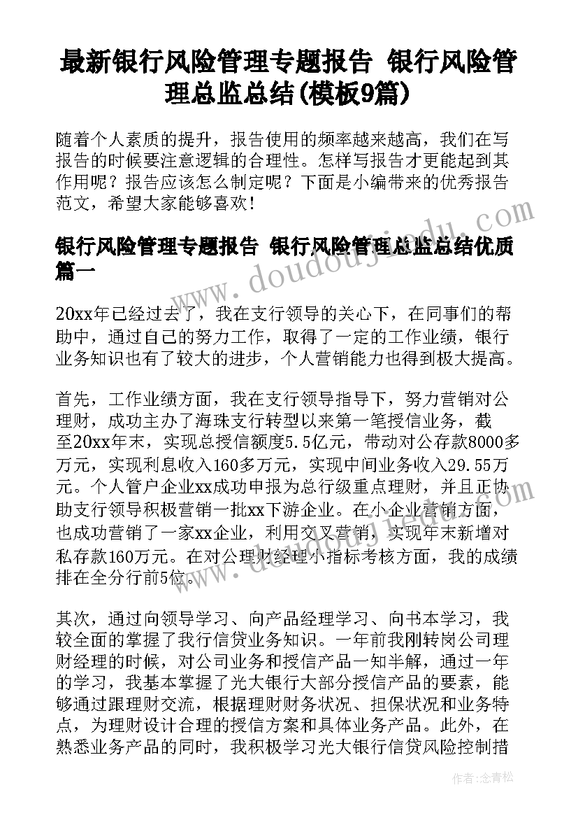 最新银行风险管理专题报告 银行风险管理总监总结(模板9篇)