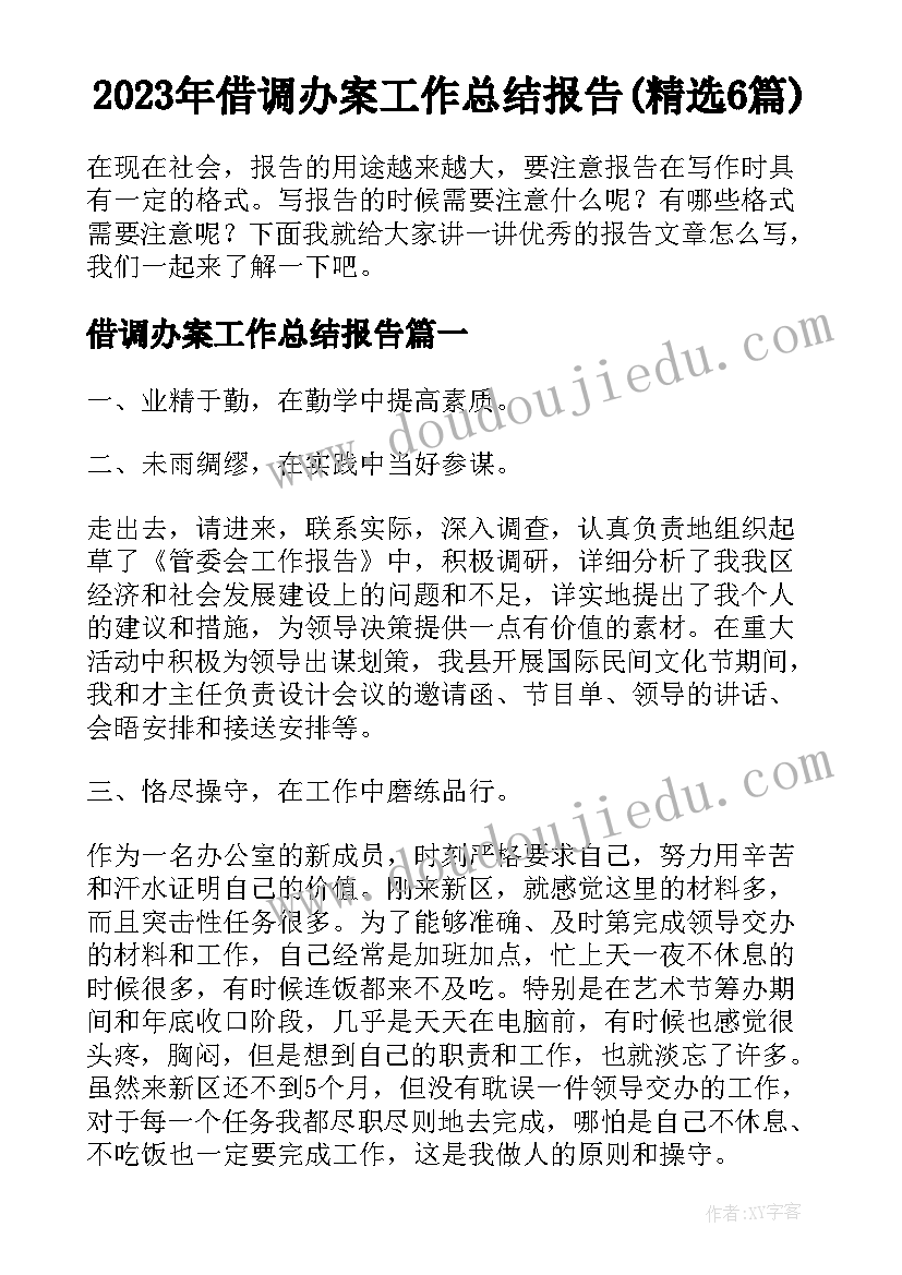 2023年借调办案工作总结报告(精选6篇)