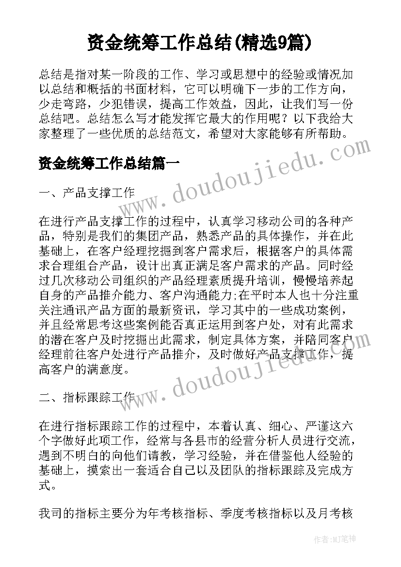 资金统筹工作总结(精选9篇)