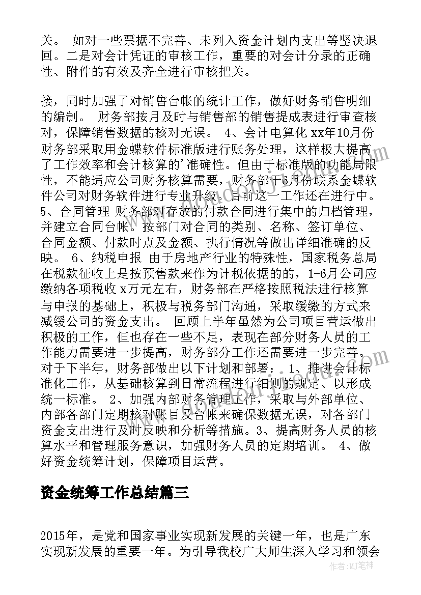 资金统筹工作总结(精选9篇)