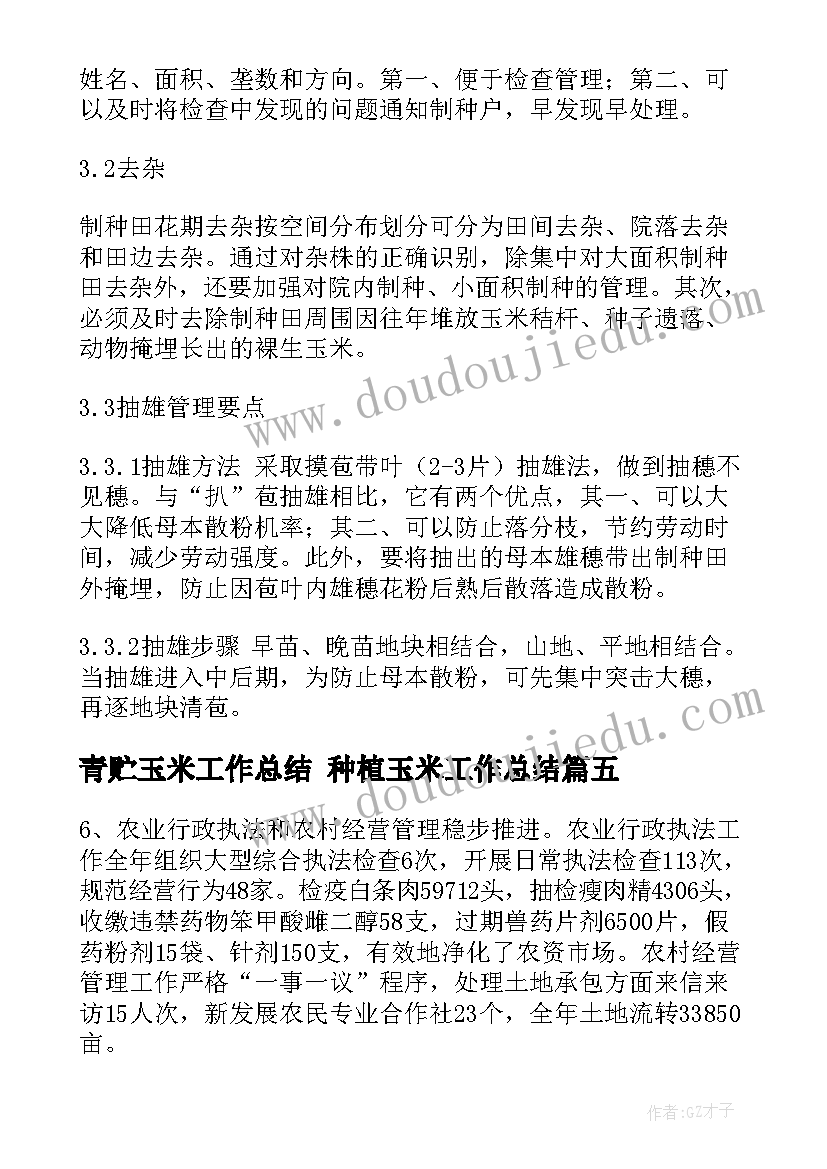 最新青贮玉米工作总结 种植玉米工作总结(大全5篇)