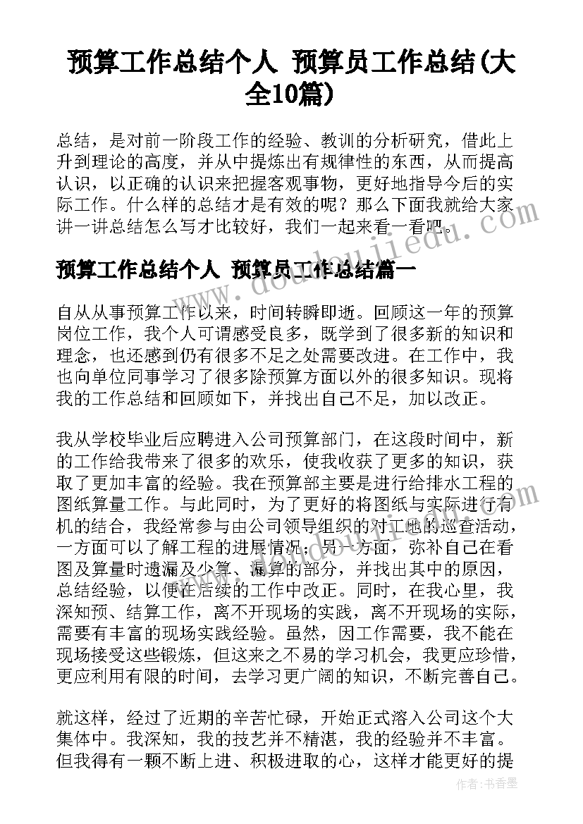 预算工作总结个人 预算员工作总结(大全10篇)