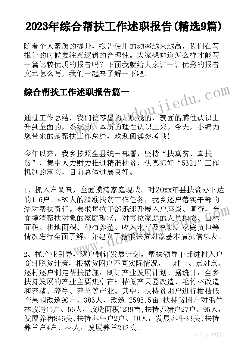 2023年综合帮扶工作述职报告(精选9篇)